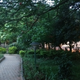 India-Bengaluru-parks-Nagawara
